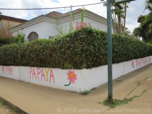 Pink Papaya Chimoio