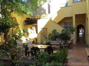 Cat And Moose Backpackers Cape Town - Courtyard