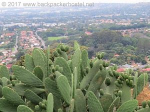 Dusk Till Dawn Backpackers Johannesburg - View