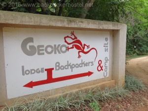 Gecko Backpackers - Hazyview/Mpumalanga