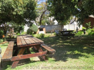 It's A Small World Backpackers Lodge Harare - Garden